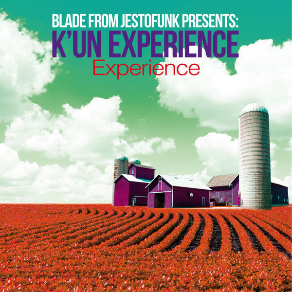 Experience