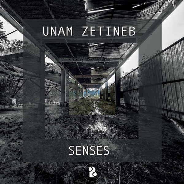 Senses