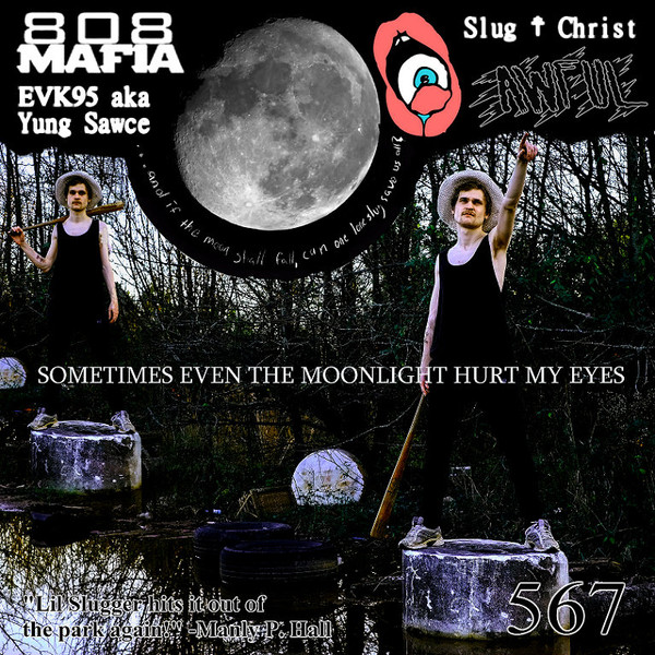 Sometimes Even The Moonlight Hurt My Eyes