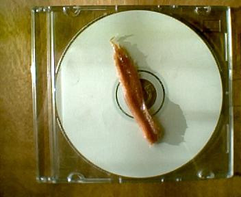 The Sewer Anchovies Society Compilation