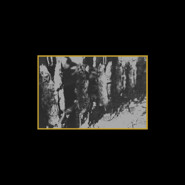 Ancient Meat Revived / A Tribute To Cold Meat Industry