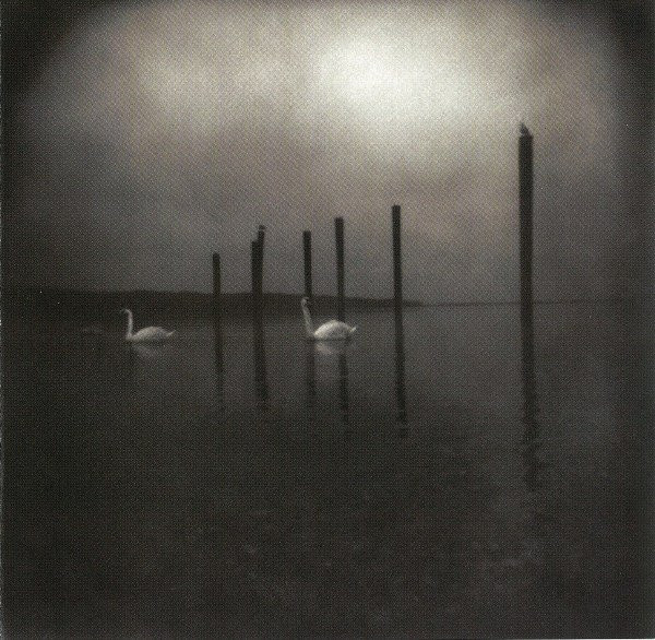 Conference Of The Birds