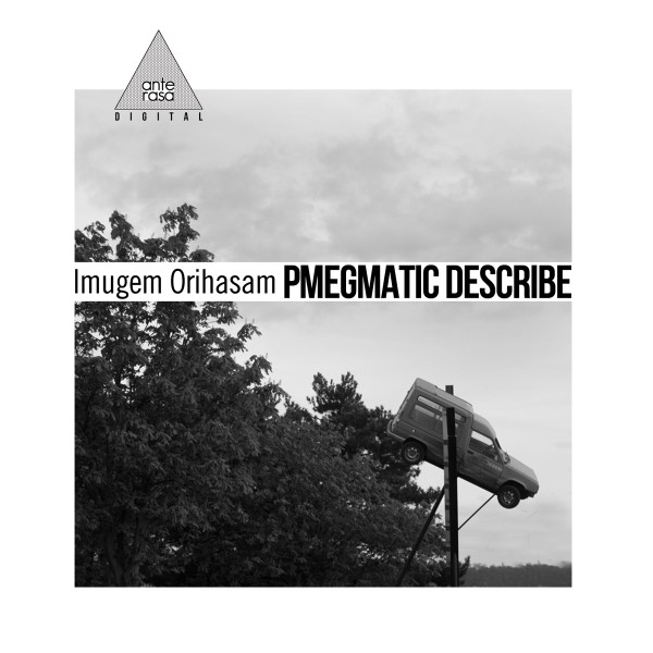 Pmegmatic Describe 