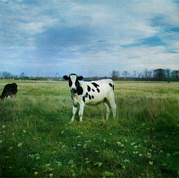 The Dark Side Of The Moo