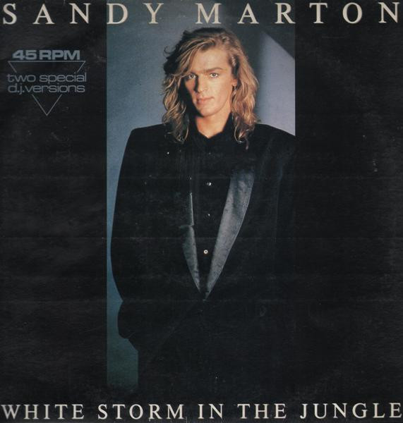 White Storm In The Jungle (Two Special D.J. Versions)