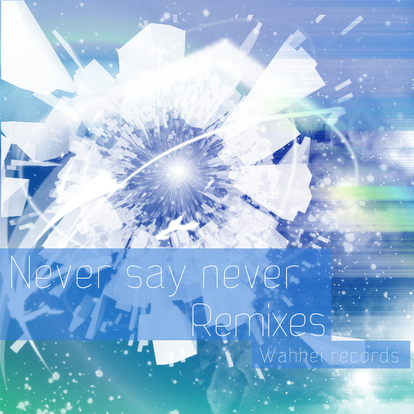 Never Say Never Remixes EP