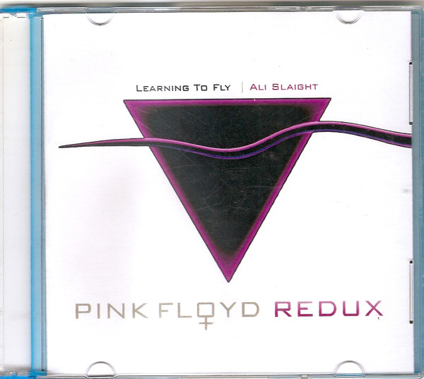 Learning to Fly - Pink Floyd Redux
