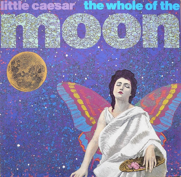 The Whole Of The Moon