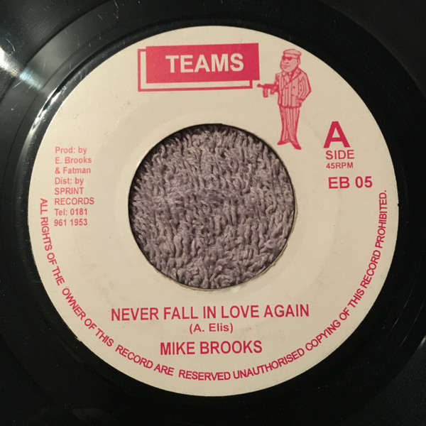 Never Fall In Love Again