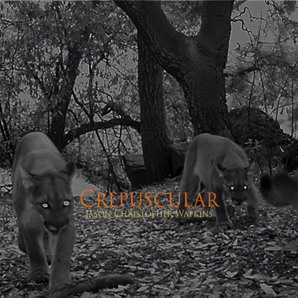 Crepuscular