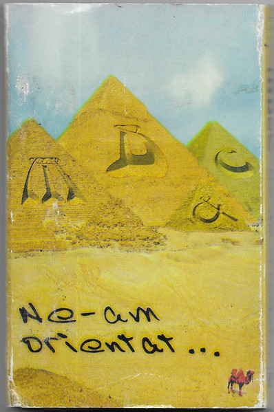 Ne-am Orientat ...