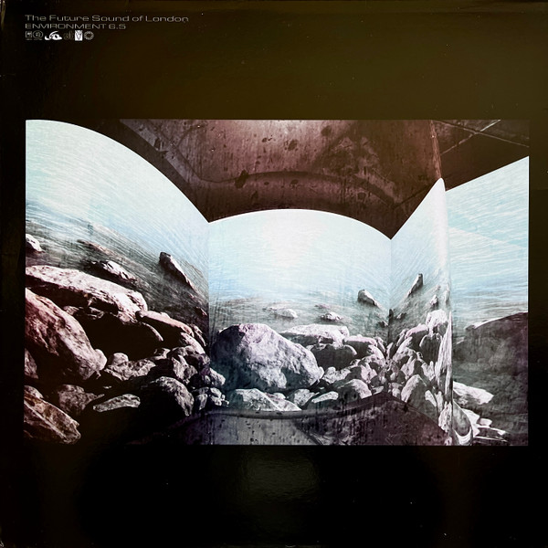 Environment 6.5