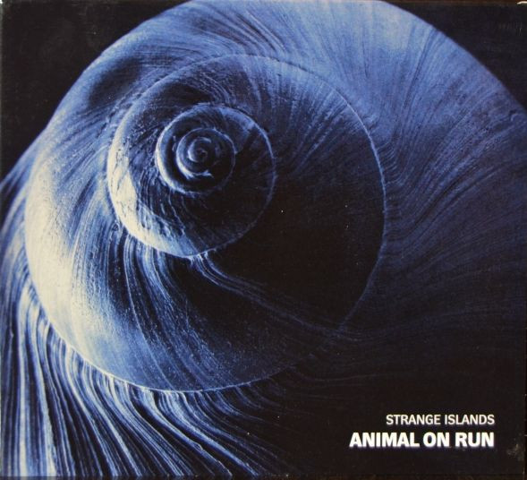 Animal On Run