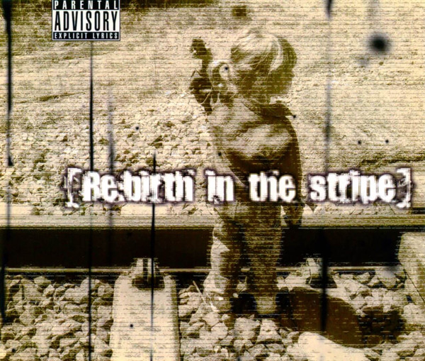 [Re:birth In The Stripe]