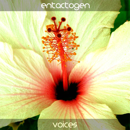 Voices