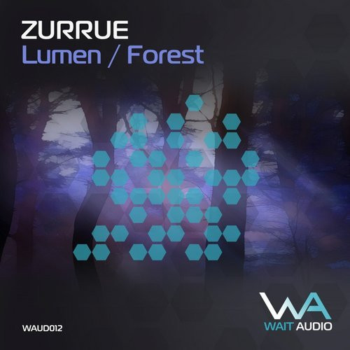 Lumen / Forest