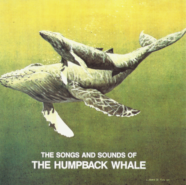 Songs And Sounds Of The Humpback Whale