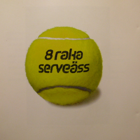 8 Raka Serveäss (Synsam Swedish Open)