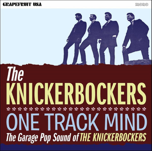 One Track Mind - The Garage Pop Sound Of The Knickerbockers