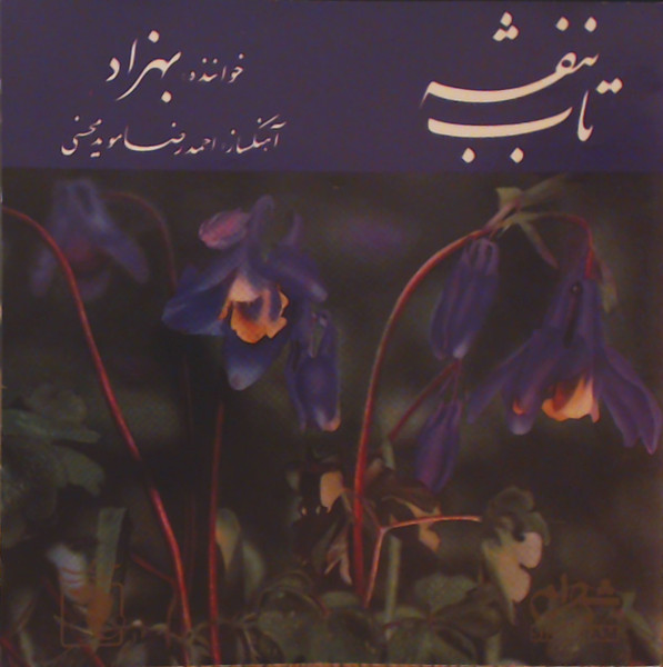 تاب بنفشه