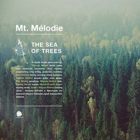 The Sea Of Trees
