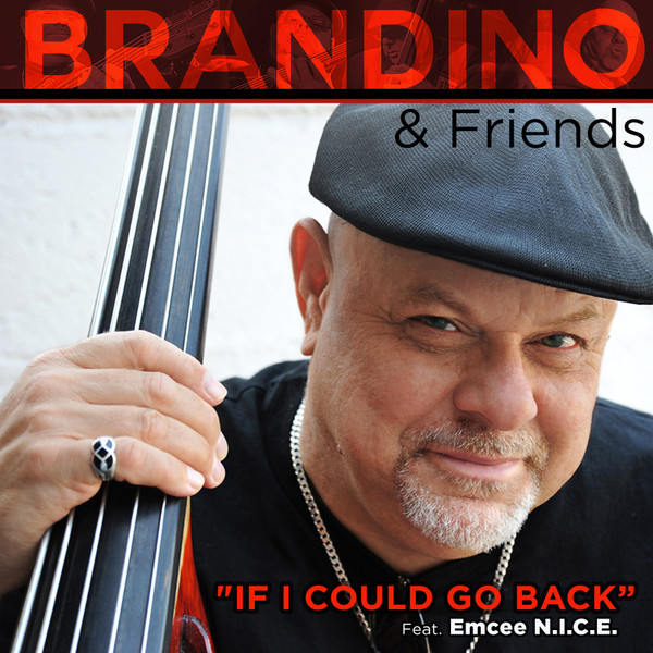 If I Could Go Back