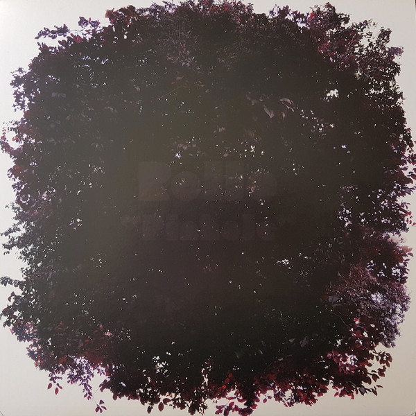 Pinhole