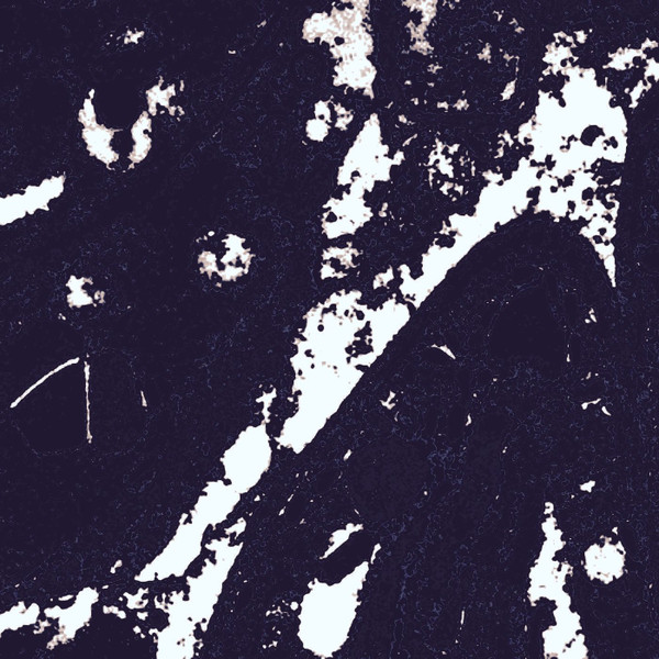 _crow