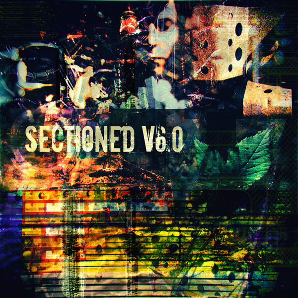 Sectioned V6​.​0