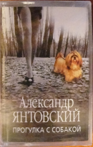 Прогулка С Собакой