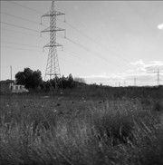 Pastoral