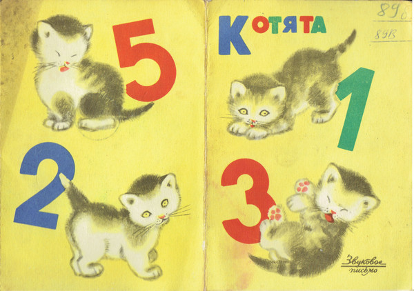Котята