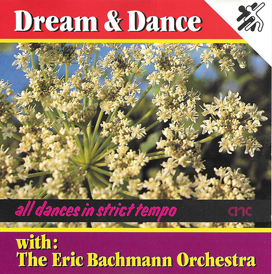 Dream & Dance With The Eric Bachmann Orchestra