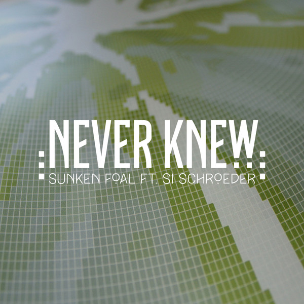 Never Knew