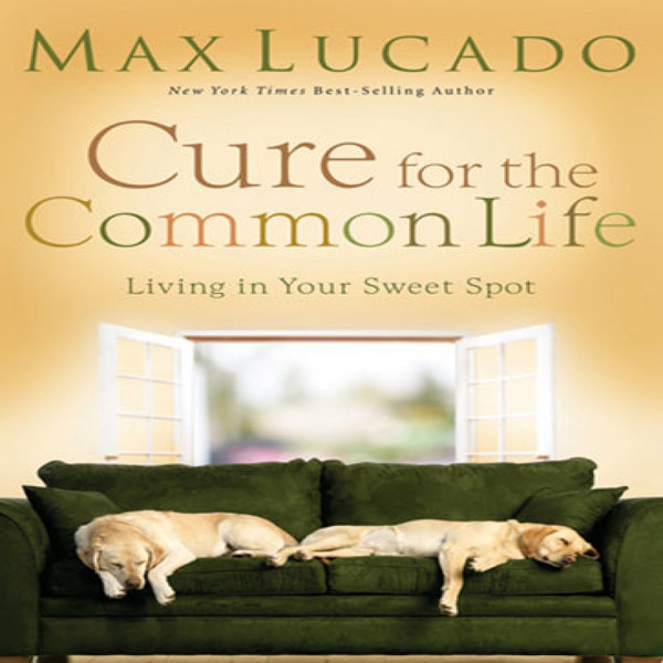 Cure for the Common Life: Living In Your Sweet Spot