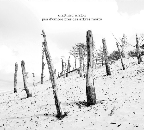 Peu D'Ombre Près Des Arbres Morts