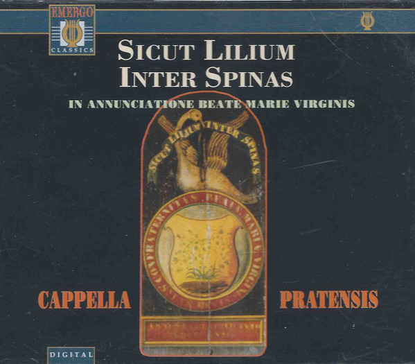 Sicut Lilium Inter Spinas (In Annunciatione Beate Marie Virginis)