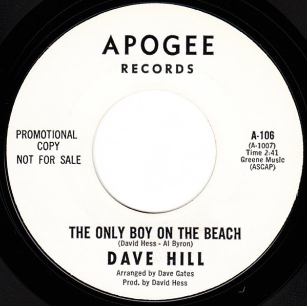 The Only Boy On The Beach