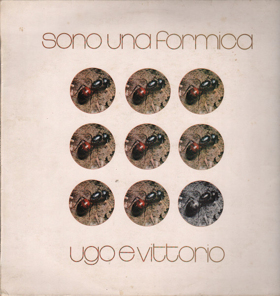 Sono Una Formica