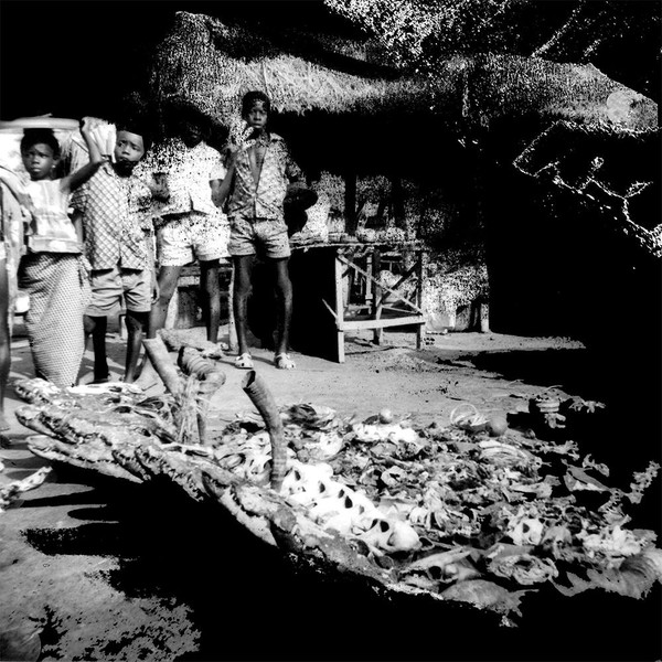 Tribal War / Sweet