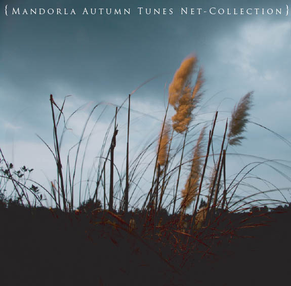 Mandorla Autumn Tunes Net-Collection