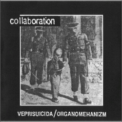 Collaboration