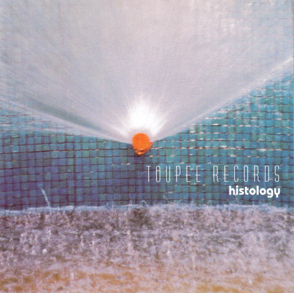 Toupee Records Histology