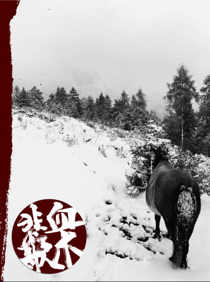 The Lament = 血木悲歌