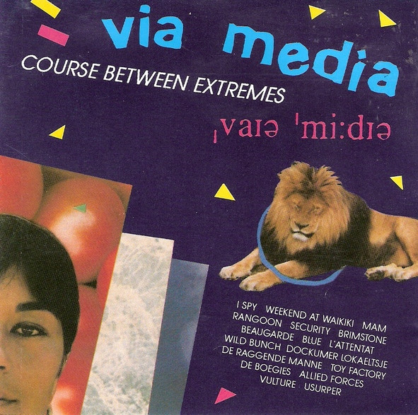 Via Media (Course Between Extremes)