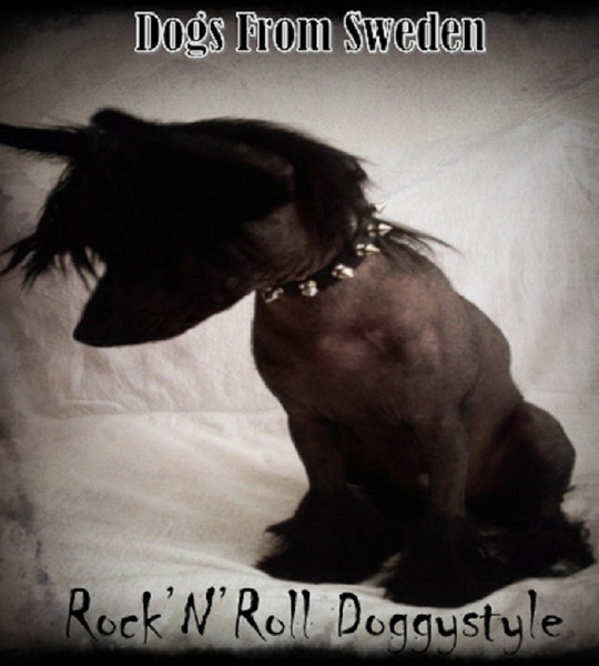 Rock 'N' Roll Doggystyle