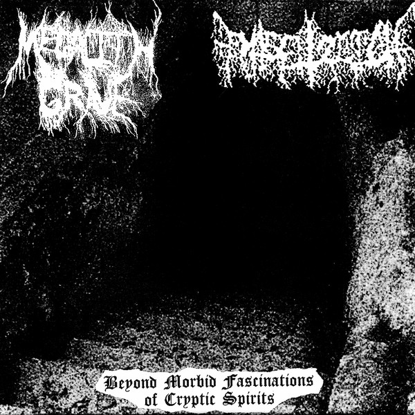 Beyond Morbid Fascinations Of Cryptic Spirits