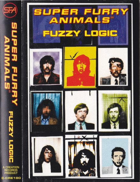 Fuzzy Logic