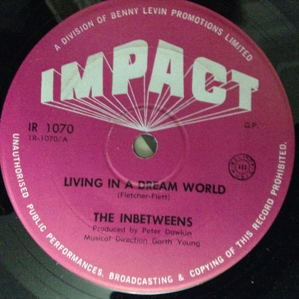 Living In A Dream World