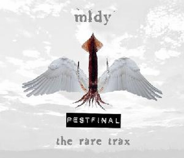 Pestfinal - The Rare Trax